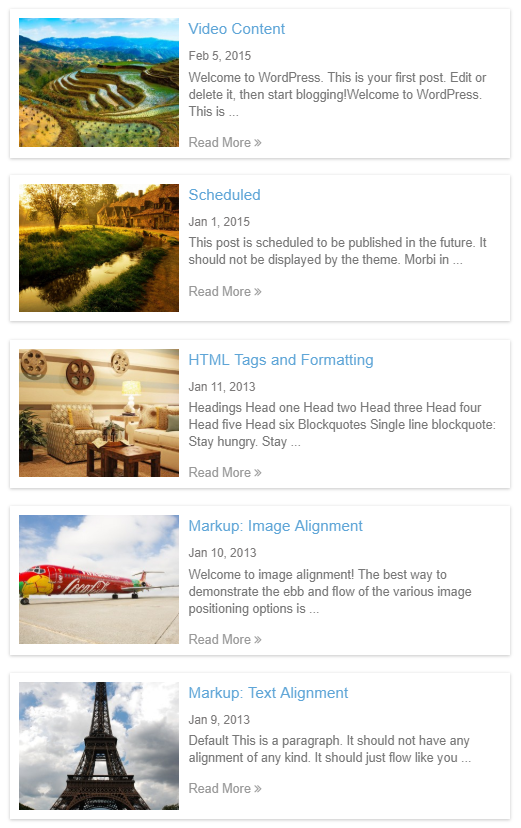 Wordpress Post Grid / List / Timeline Layout With Carousel & Related Post - 7
